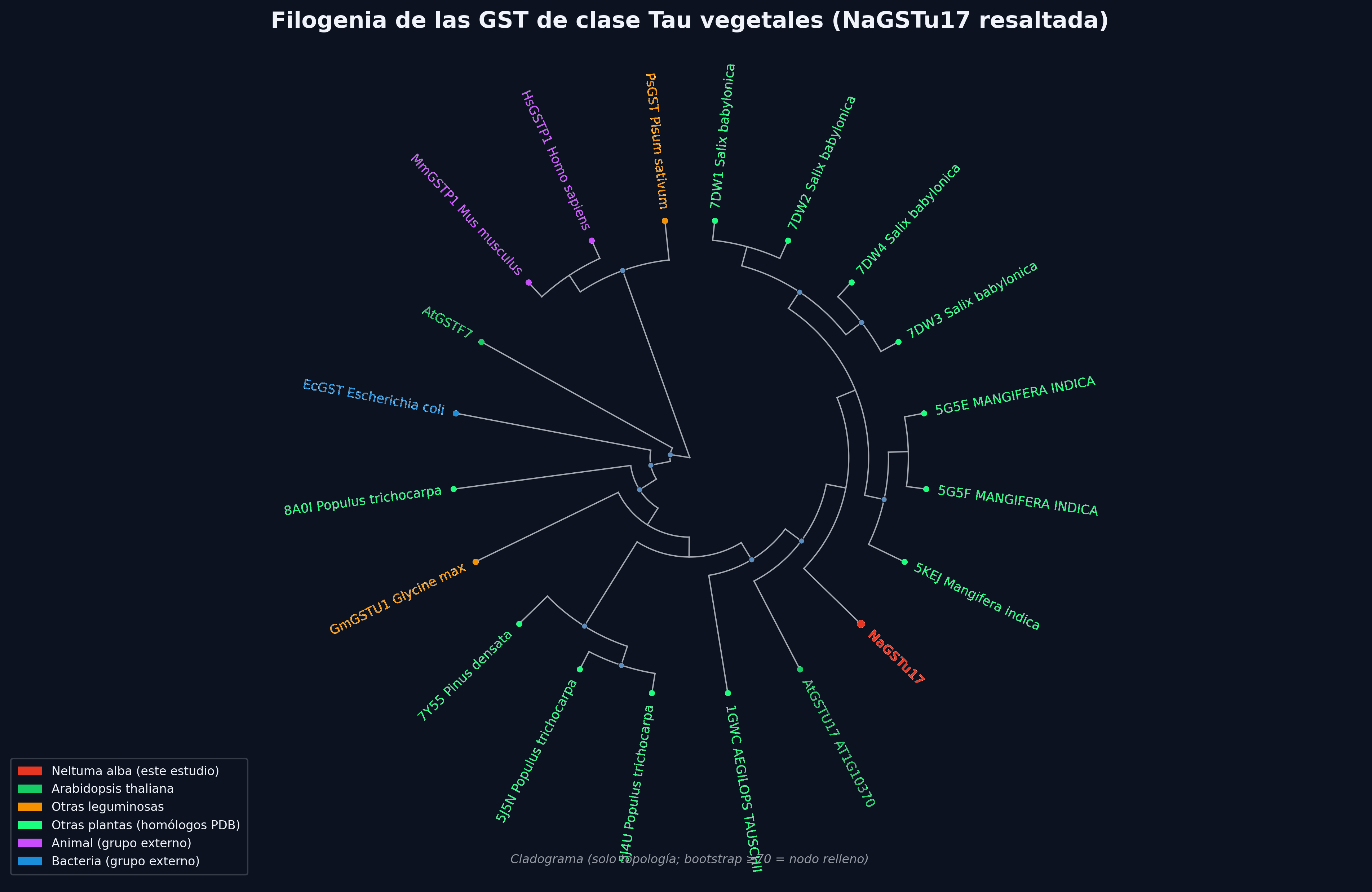 Árbol filogenético de GST - Modo Oscuro