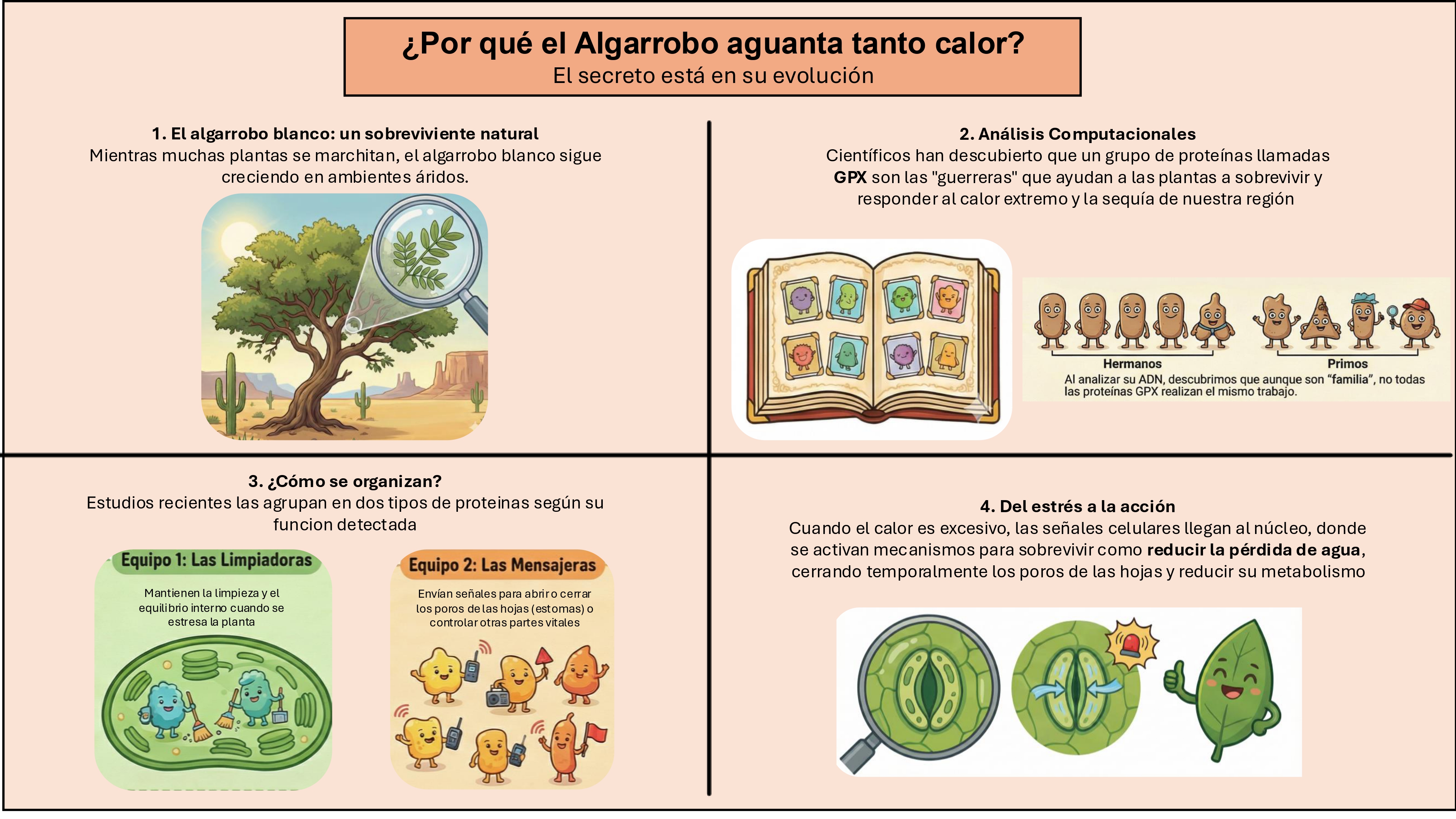 Infografía divulgación GPX